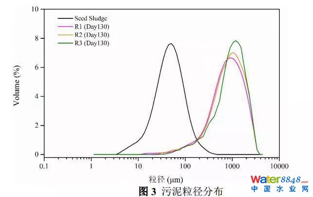 鐵離子對厭氧氨氧化污泥富集培養(yǎng)的影響
