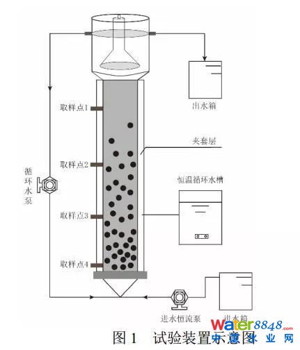 鐵離子對厭氧氨氧化污泥富集培養(yǎng)的影響